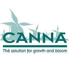 Canna 8